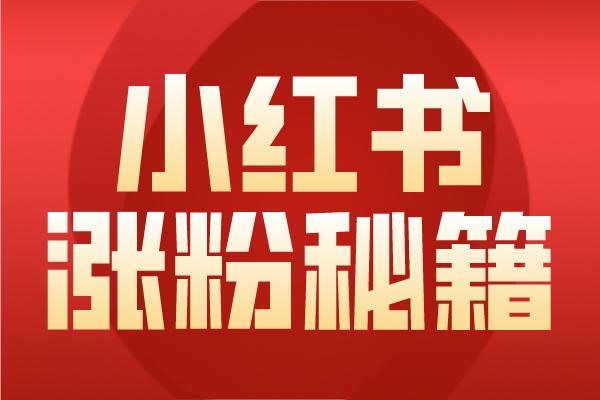 小红书买东西查不到订单查询?